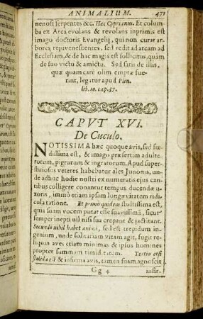Caput XVI. De Cuculo.