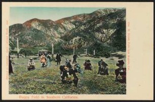 Poppy Field in Southern California