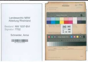 Entnazifizierung Anna Schneider , geb. 23.08.1901 (Angestellter)