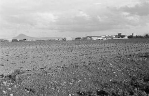 Weingärten bei Tunis : Feld und angrenzendes Farmgebäude