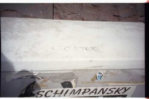 CORTEX | {REGISTERED-TRADE-MARK-SYMBOL}