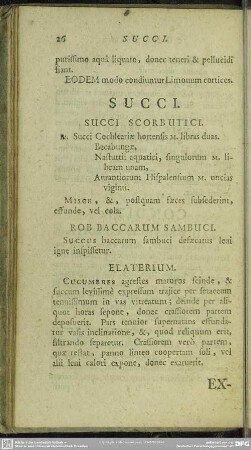 Succi