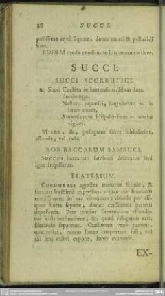 Succi
