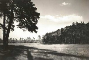 Moritzburger Teichgebiet. Heidelandschaft