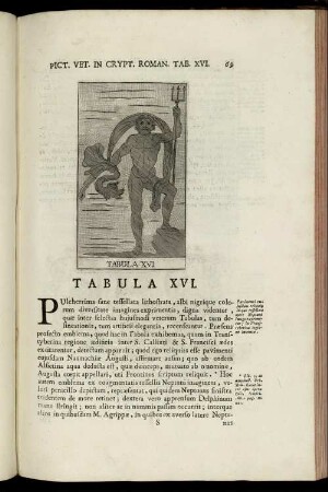 Tabula XVI. - XX. [mit Abbildungsbeschreibung]