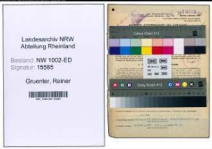 Entnazifizierung Reiner Gruenter, geb. 29.04.1888 (Studienrat)