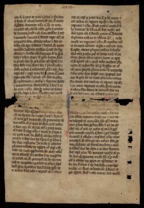Testamentum vetus (Fragment)