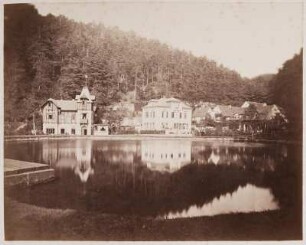 Teich der Pillnitzer Mühle : Dresden-Pillnitz. Teich der Pillnitzer Mühle