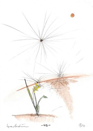 Seite 42: Wachstum