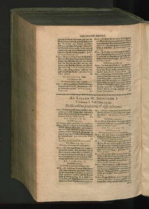 Ad Librum III. Sectionem I. Titulum I. Post Num. 2. p. 241. De Gradibus prohibitis et dispensatione. (...)