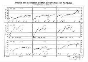 Struktur der automatisch erfaßten Gewichtsdaten von Mastbullen