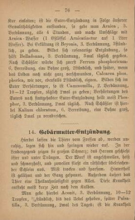 14. Gebärmutter-Entzündung