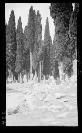 Friedhof Skutari (= Üsküdar, Istanbul, Türkei)