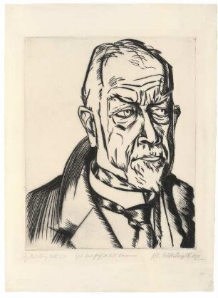 Bildnis Karl Woermann
