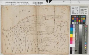 Holzhausen (Nieheim) Forsten der von der Borch zu Holzhausen am Emder Bach Holzhauser Schnad 2.H. 18.Jh. o.M. 34 x 48 Skizze Dietrich Scheck, Förster Haus Holzhausen Nr. 884