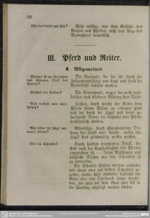 III. Pferd und Reiter