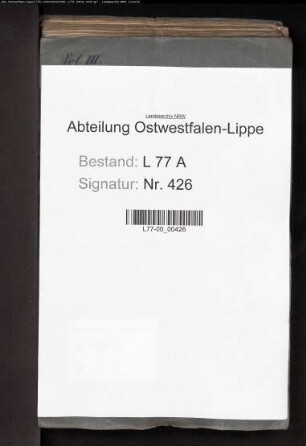 Anstellung der Justizamtmänner, Amtsschreiber, Assessoren und Auditoren beim Amt Varenholz, Bd. 3