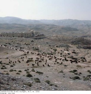 Israel: Wüste Juda bei Nabi Musa