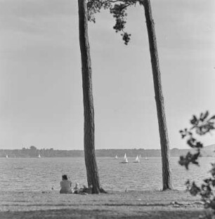 Ufer eines Gewässers