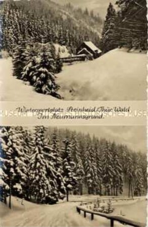 Thüringer Wald im Winter