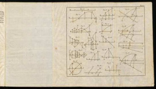 Abbildung "Tab. I. - Tab. VIII."