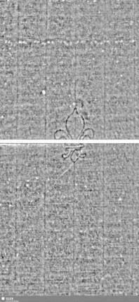Lilie / Tj = Bd.1, S.237/238+241/242