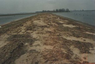 Leitdamm Xanten/Rhein