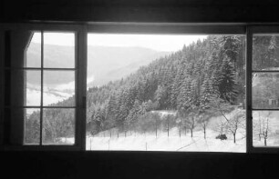 Glotterbad: Sanatorium; Ausblick auf Wald und Straße