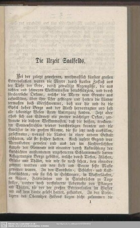 Die Urzeit Saalfelds