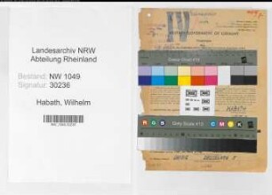 Entnazifizierung Wilhelm Habath , geb. 30.01.1909 (Steinsetzer)