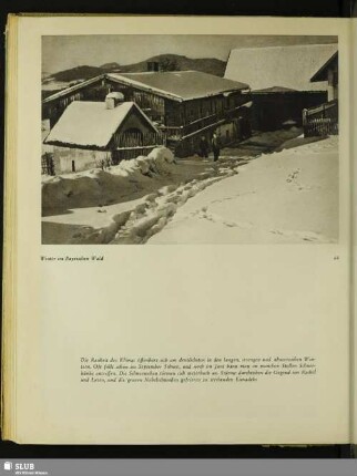 64 Winter im Bayrischen Wald