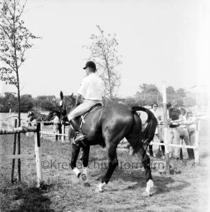 Sportveranstaltung: 2. Pferdeleistungsschau: Veranstalter Reitverein Ahrensburg/Hamburg-Ost: Reiter zu Pferd an Eingang von Parcours: Reiter, Zuschauer an Zaun: junge Bäume: im Hintergrund Fahnenmasten mit Fahnen, Häuser
