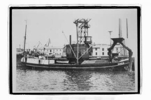 Mandus ex Ernst Gaulke ex Max ex Johanna ex Marinus (1916), R. Kühl, Hamburg