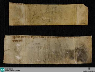 Psalter, Fragment - Cod. St. Peter perg. 126