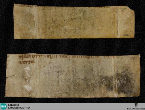Psalter, Fragment - Cod. St. Peter perg. 126
