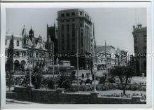 Grünanlage im Stadtzentrum, Port Elizabeth, Südafrika
