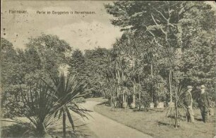 Hannover. Partie im Berggarten in Herrenhausen.