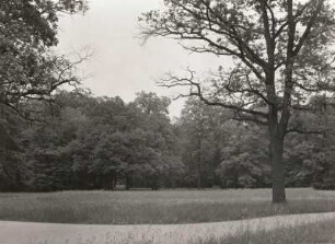 Dresden. Großer Garten. Areal südlich der Hauptallee zwischen Lennéstraße und Palais