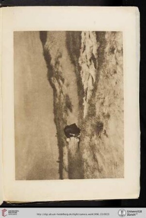 [Heinrich Kühn, VII. Washerwomen on the Dunes, photogravure]