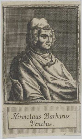 Bildnis des Hermolaus Barbarus