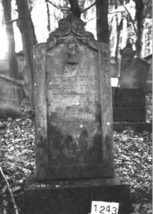 Grabstein 1243 (Index: 99900044) Material: Sandstein Zustand: stark verwittert Maße HxBxT: 156x59x11 cm Beschreibung: aufgesockelte Stele mit geschweiftem Kielbogenabschluss, mit Blüten und Voluten, im Bogenfeld Leviten?-Kanne Symbolik: (Leviten?)Kanne, Blüten, Voluten: Grabstein 1243
