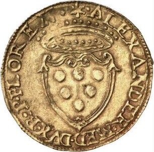 Florenz: Alexander