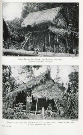 Sakai house, Lui River, ... . Ground hut with thatched roof, ...