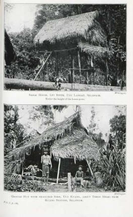 Sakai house, Lui River, ... . Ground hut with thatched roof, ...