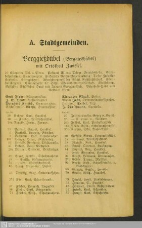 Berggießhübel (Berggieshübel) mit Ortstheil Zwiesel