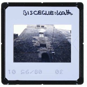 Bisceglie, Dom San Pietro Apostoli