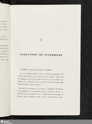 IV Caractère De Cucurbitus