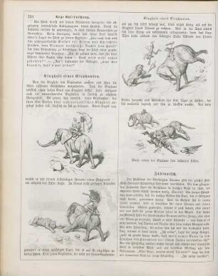 "Klugheit eines Elephanten"