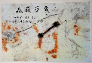 Insekten mit Japanischer Schrift