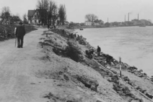 Uferabflachung "Kurve Speyer"/Rhein